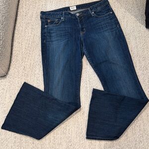 Hudson Jeans Dark Blue Flare Women's Denim